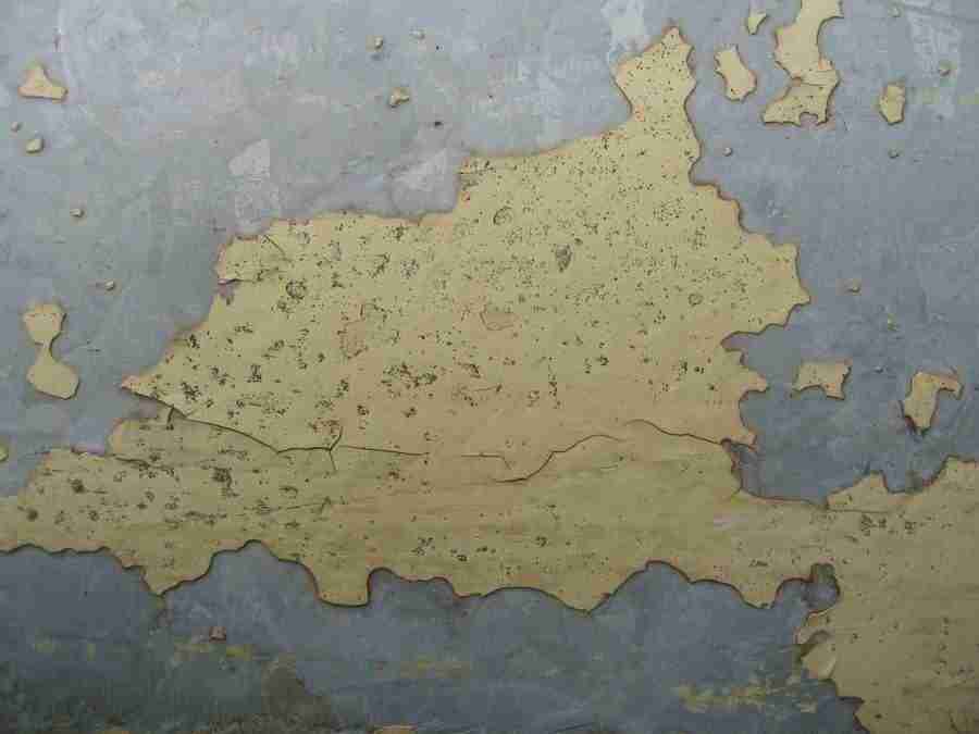 Reflections - RNMEDIA ></a>
<script language=JavaScript> 
  var txt = 