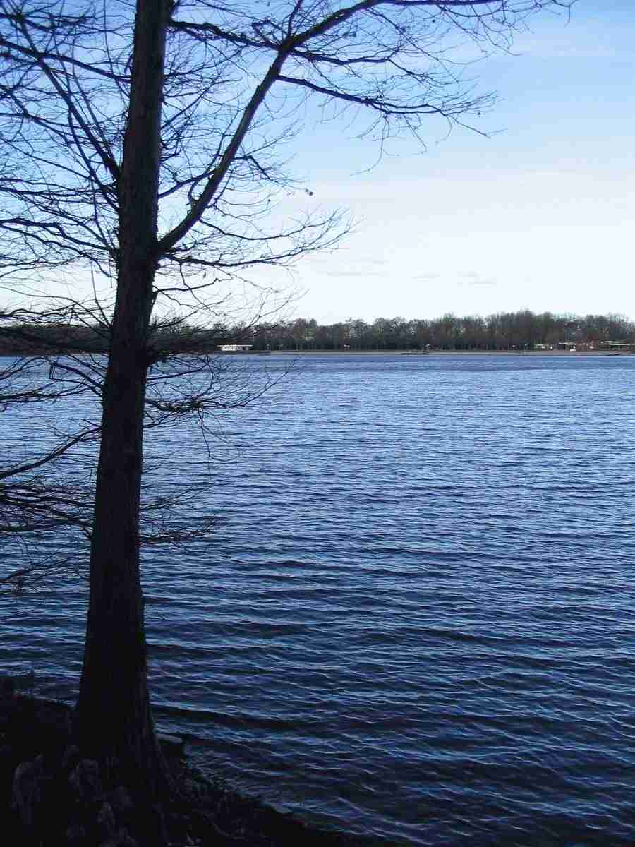 Reflections - RNMEDIA ></a>
<script language=JavaScript> 
  var txt = 