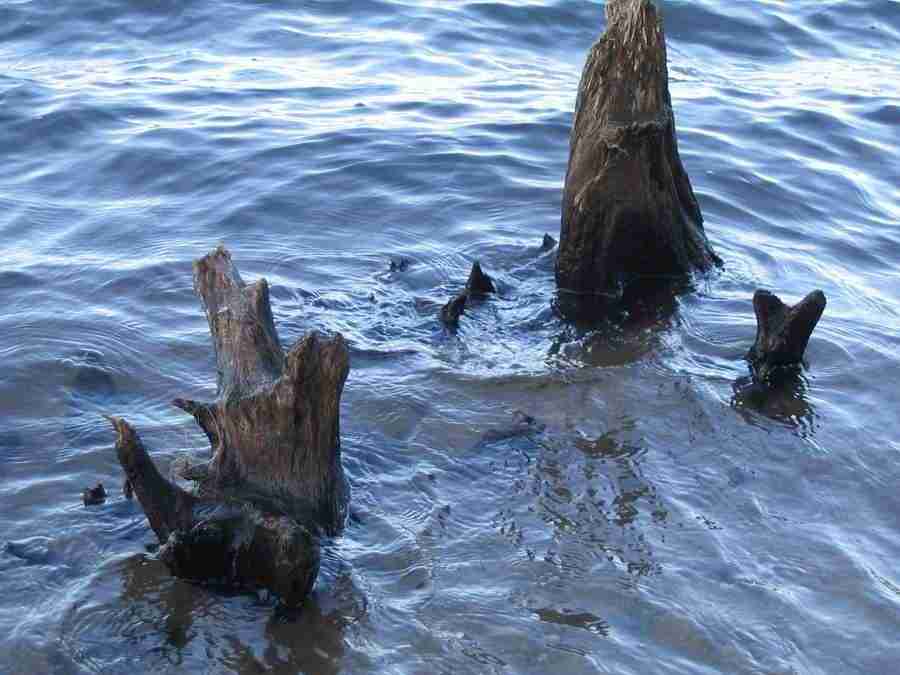 Reflections - RNMEDIA ></a>
<script language=JavaScript> 
  var txt = 