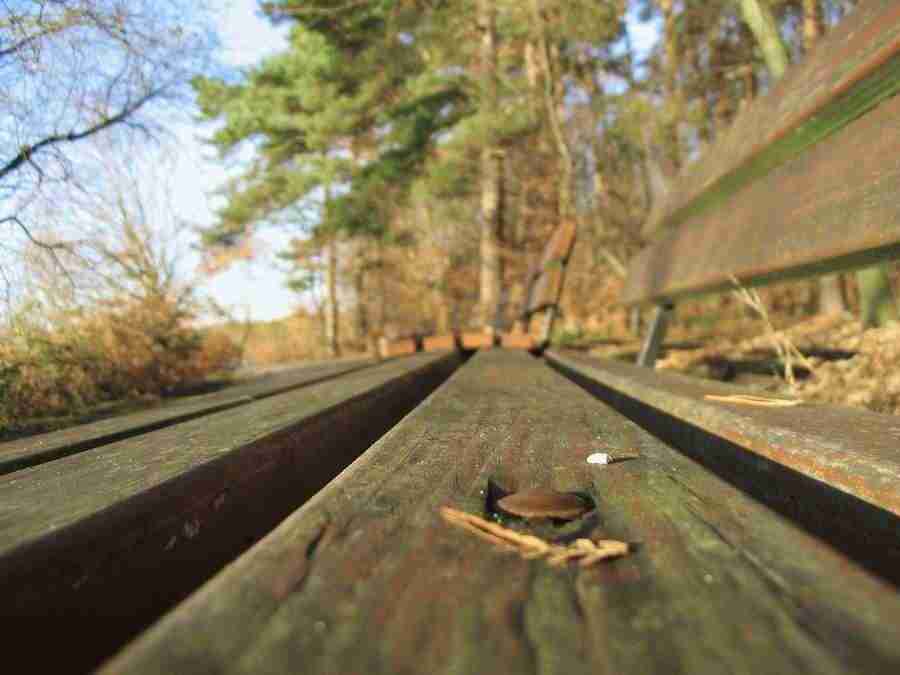 Reflections - RNMEDIA ></a>
<script language=JavaScript> 
  var txt = 