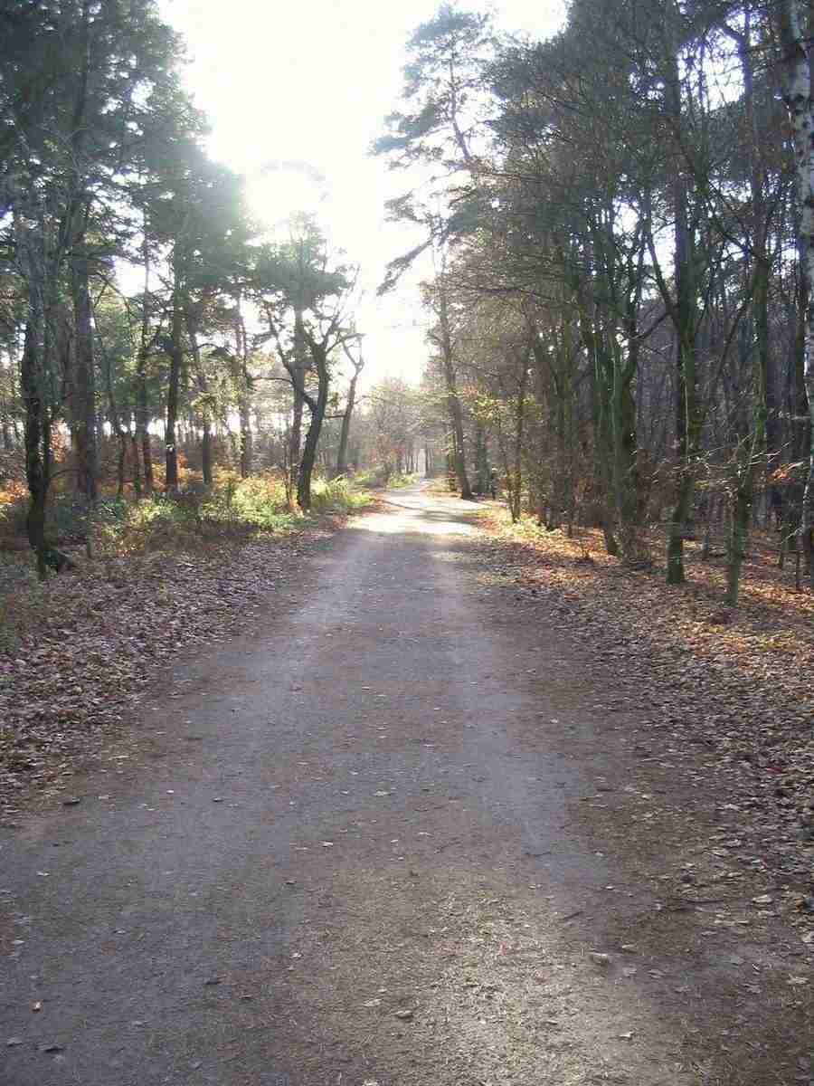 Reflections - RNMEDIA ></a>
<script language=JavaScript> 
  var txt = 