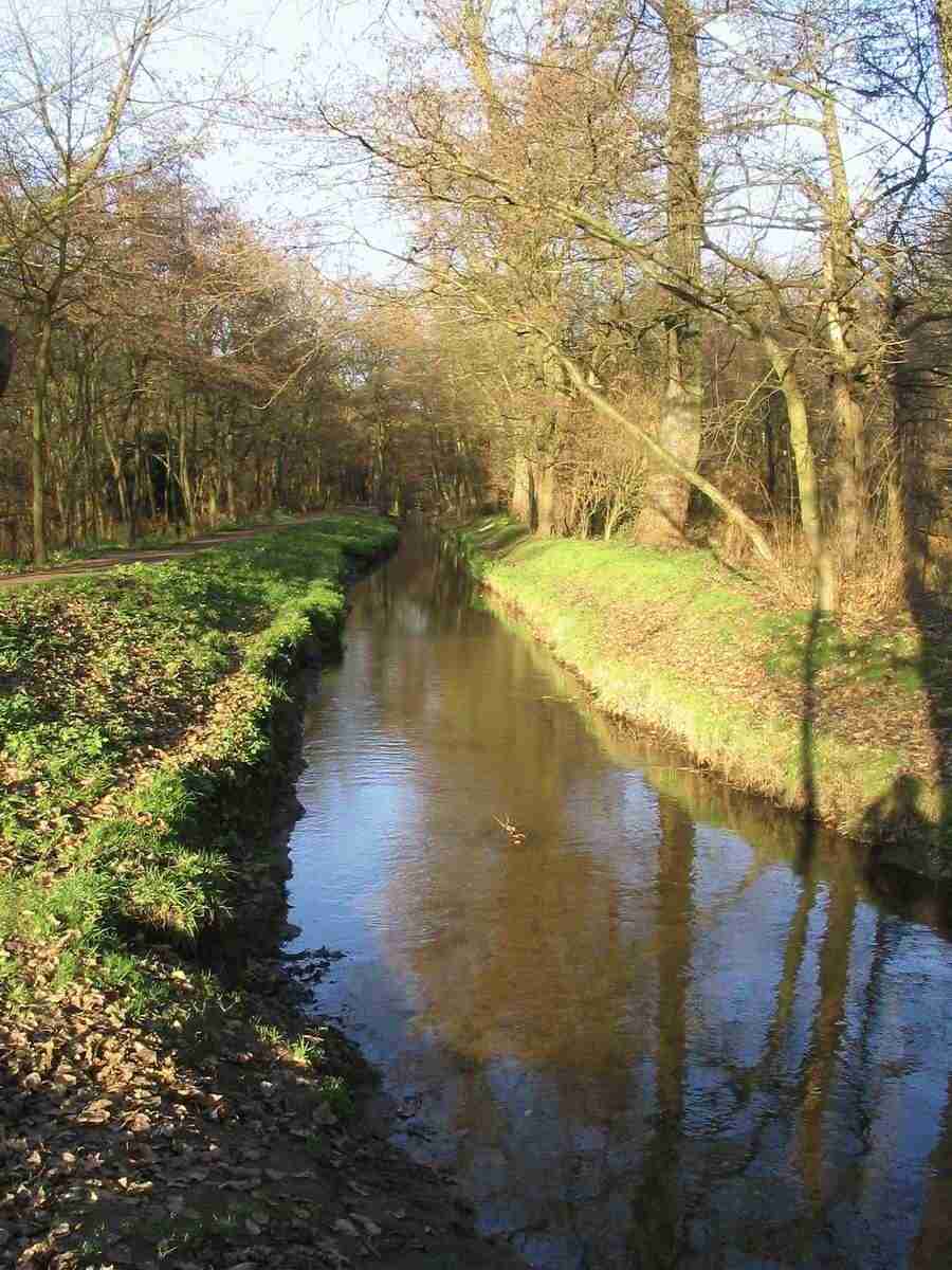 Reflections - RNMEDIA ></a>
<script language=JavaScript> 
  var txt = 