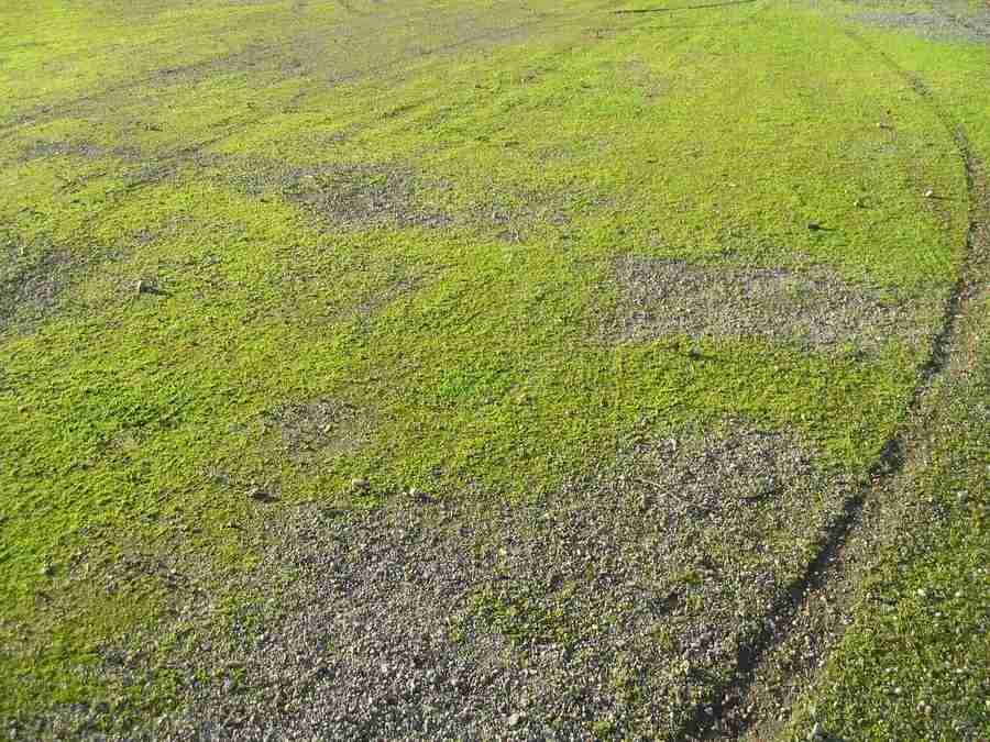 Reflections - RNMEDIA ></a>
<script language=JavaScript> 
  var txt = 