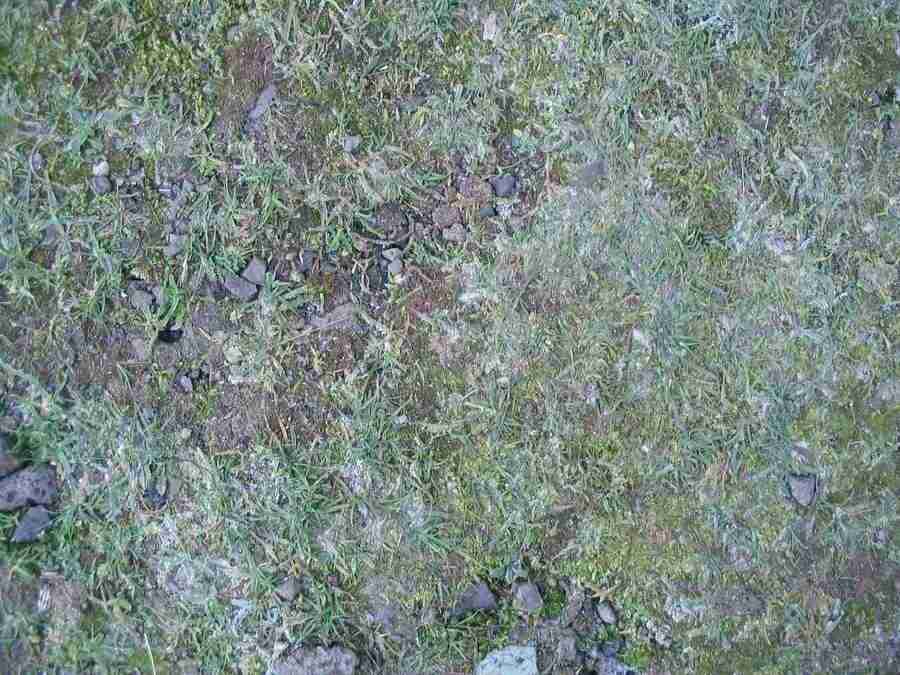 Reflections - RNMEDIA ></a>
<script language=JavaScript> 
  var txt = 