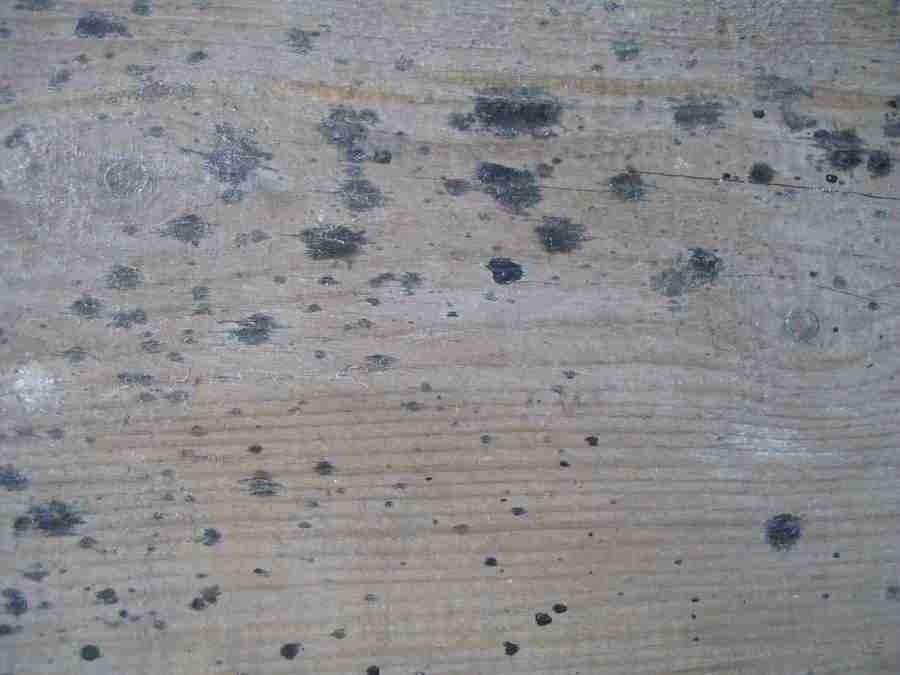 Reflections - RNMEDIA ></a>
<script language=JavaScript> 
  var txt = 