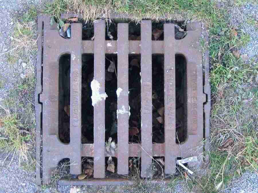 Reflections - RNMEDIA ></a>
<script language=JavaScript> 
  var txt = 