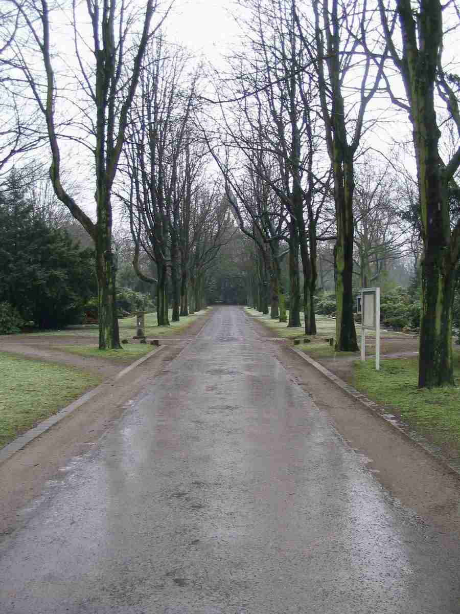 Reflections - RNMEDIA ></a>
<script language=JavaScript> 
  var txt = 