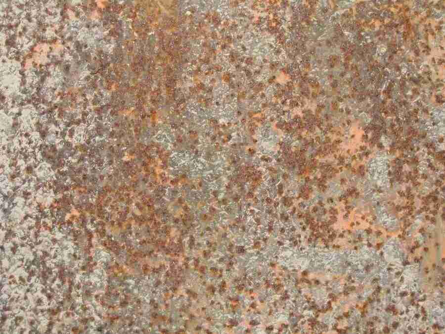 Rost - RNMEDIA ></a>
<script language=JavaScript> 
  var txt = 