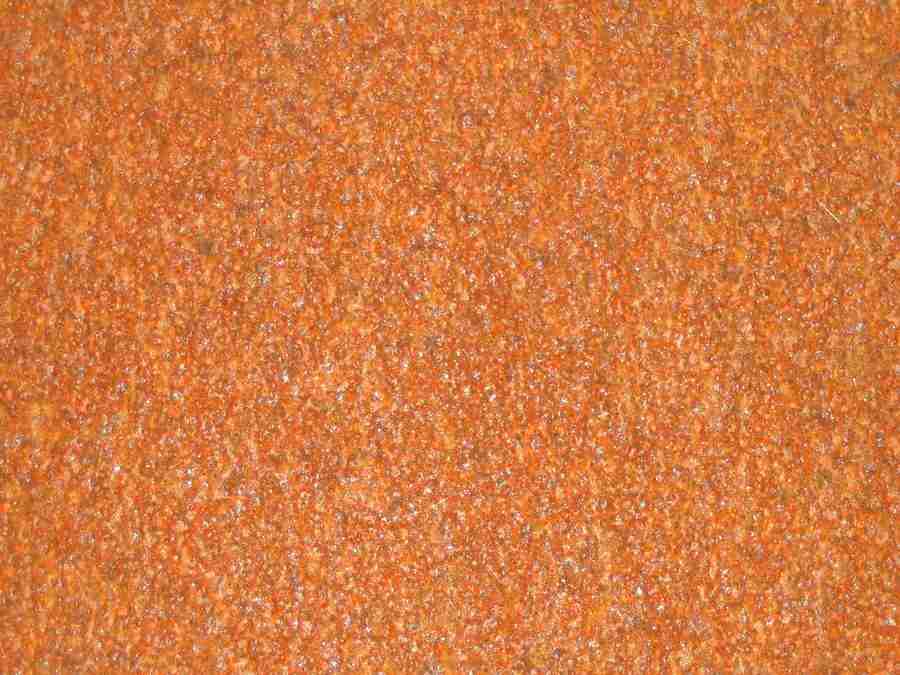 Rost - RNMEDIA ></a>
<script language=JavaScript> 
  var txt = 