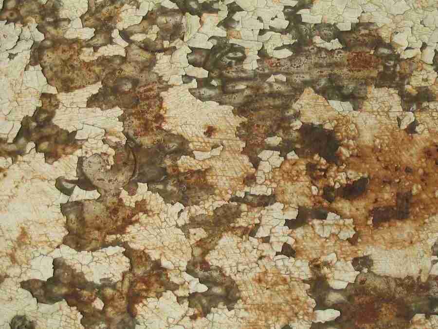 Rost - RNMEDIA ></a>
<script language=JavaScript> 
  var txt = 