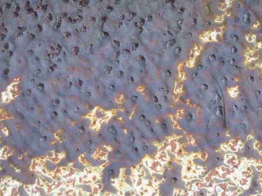 Rost - RNMEDIA ></a>
<script language=JavaScript> 
  var txt = 