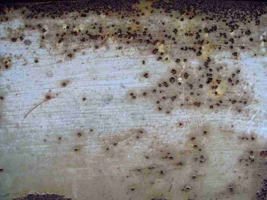 Rost - RNMEDIA ></a>
<script language=JavaScript> 
  var txt = 