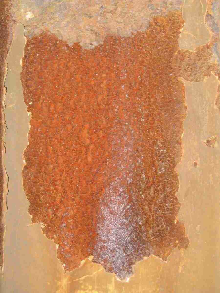 Rost - RNMEDIA ></a>
<script language=JavaScript> 
  var txt = 