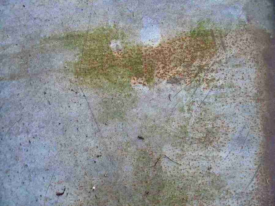 Rost - RNMEDIA ></a>
<script language=JavaScript> 
  var txt = 