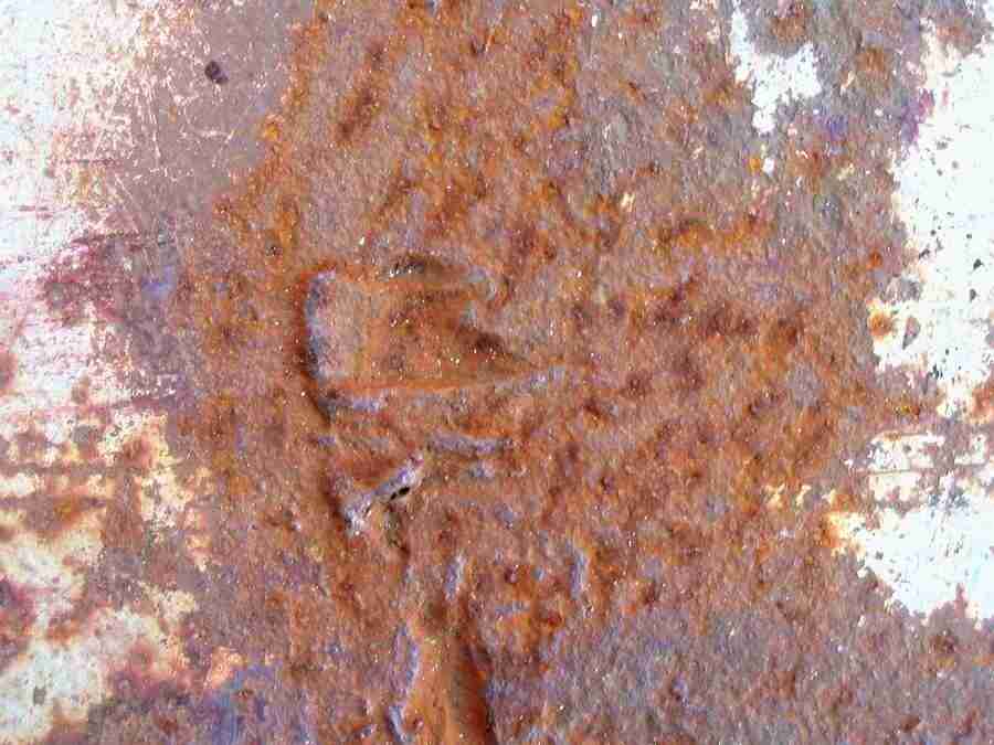 Rost - RNMEDIA ></a>
<script language=JavaScript> 
  var txt = 