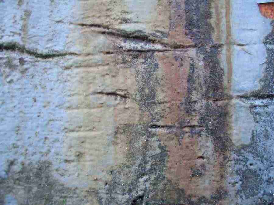 Rost - RNMEDIA ></a>
<script language=JavaScript> 
  var txt = 