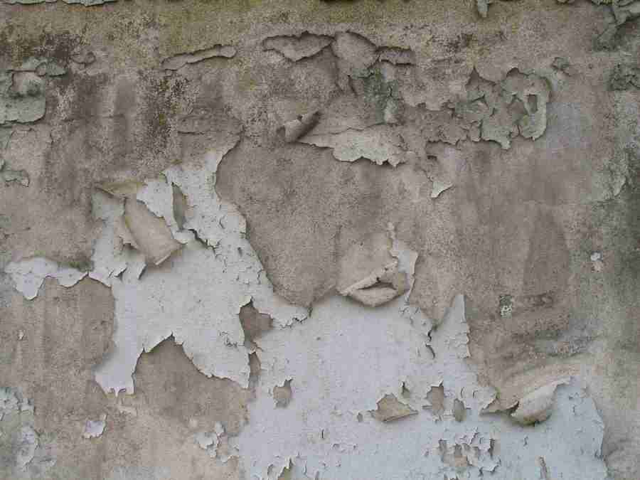 Stein - RNMEDIA ></a>
<script language=JavaScript> 
  var txt = 