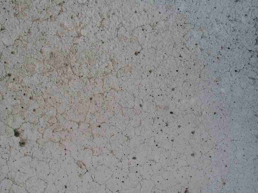 Stein - RNMEDIA ></a>
<script language=JavaScript> 
  var txt = 