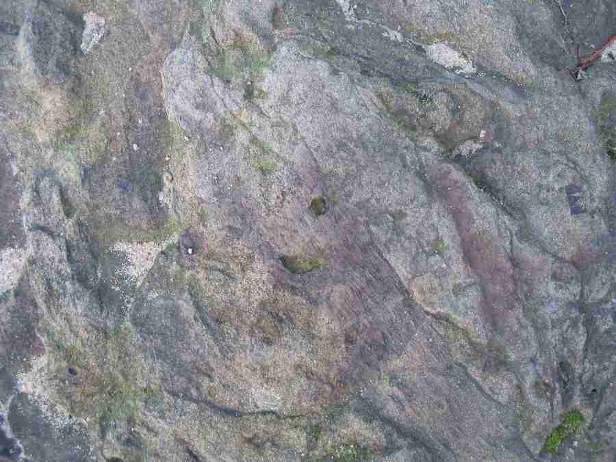 Stein - RNMEDIA ></a>
<script language=JavaScript> 
  var txt = 