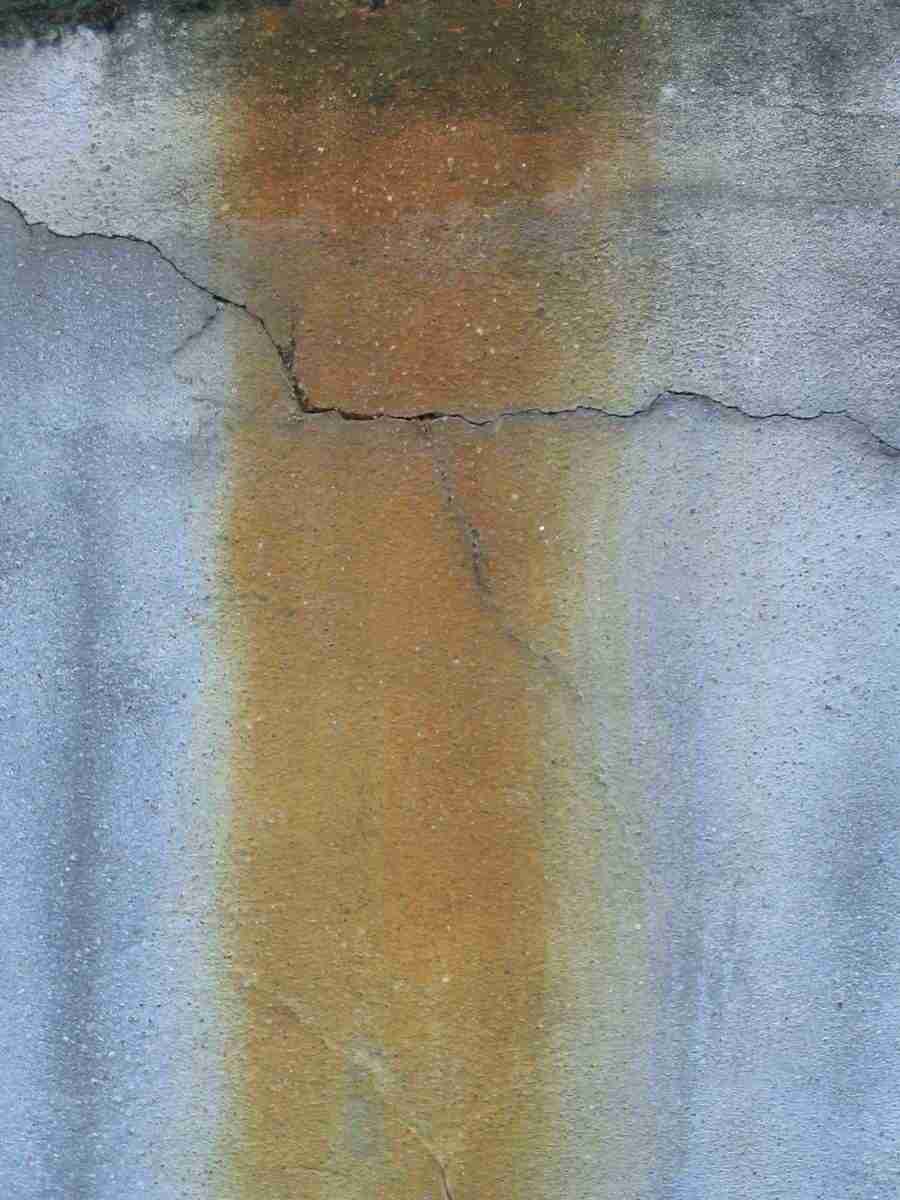 Stein - RNMEDIA ></a>
<script language=JavaScript> 
  var txt = 