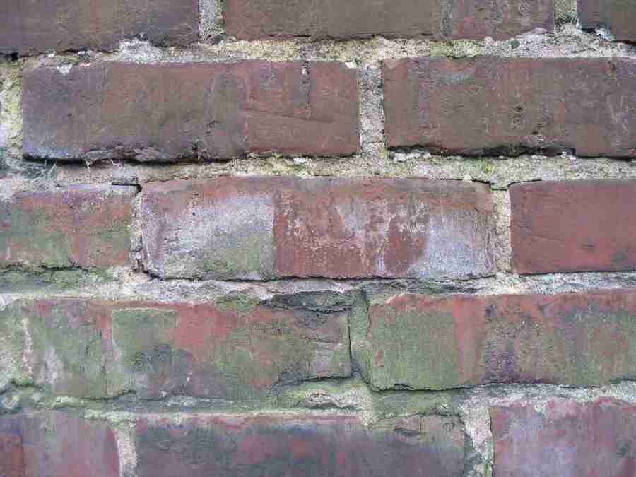 Stein - RNMEDIA ></a>
<script language=JavaScript> 
  var txt = 