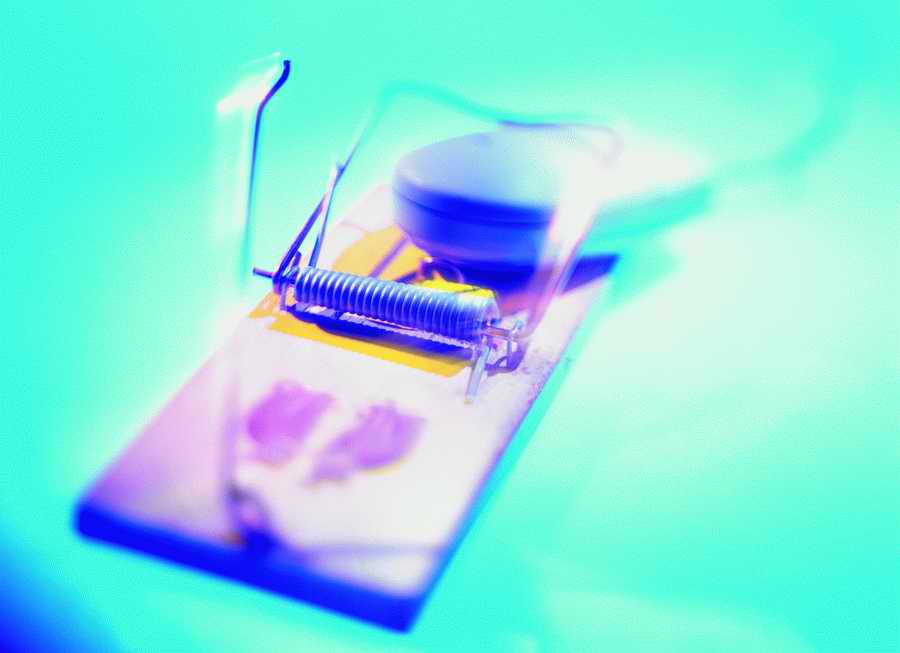 Business Ideas - Stockbyte  ></a>
<script language=JavaScript> 
  var txt = 