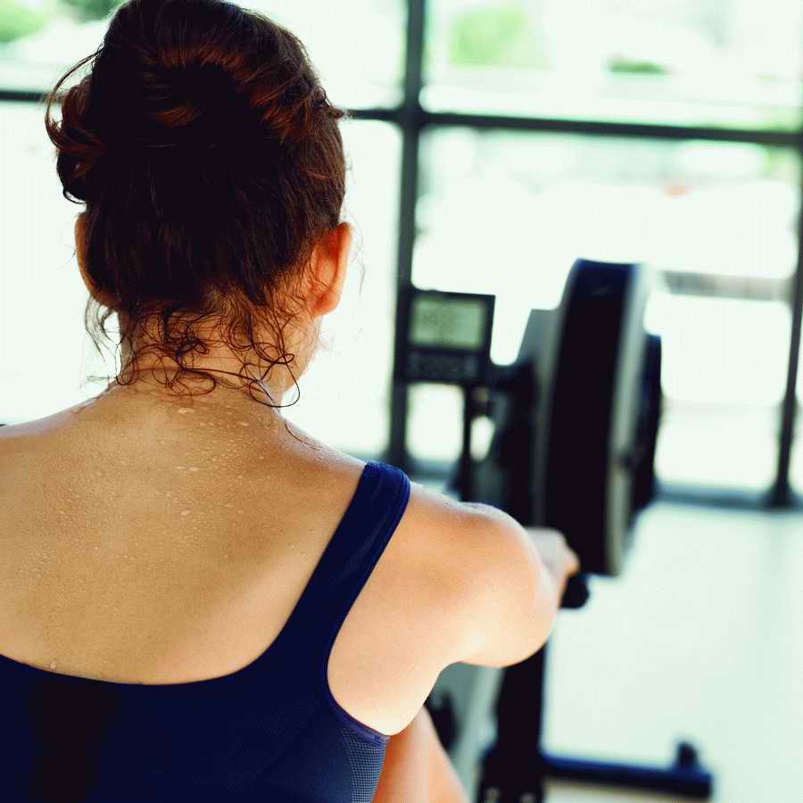 In The Gym - Stockbyte  ></a>
<script language=JavaScript> 
  var txt = 