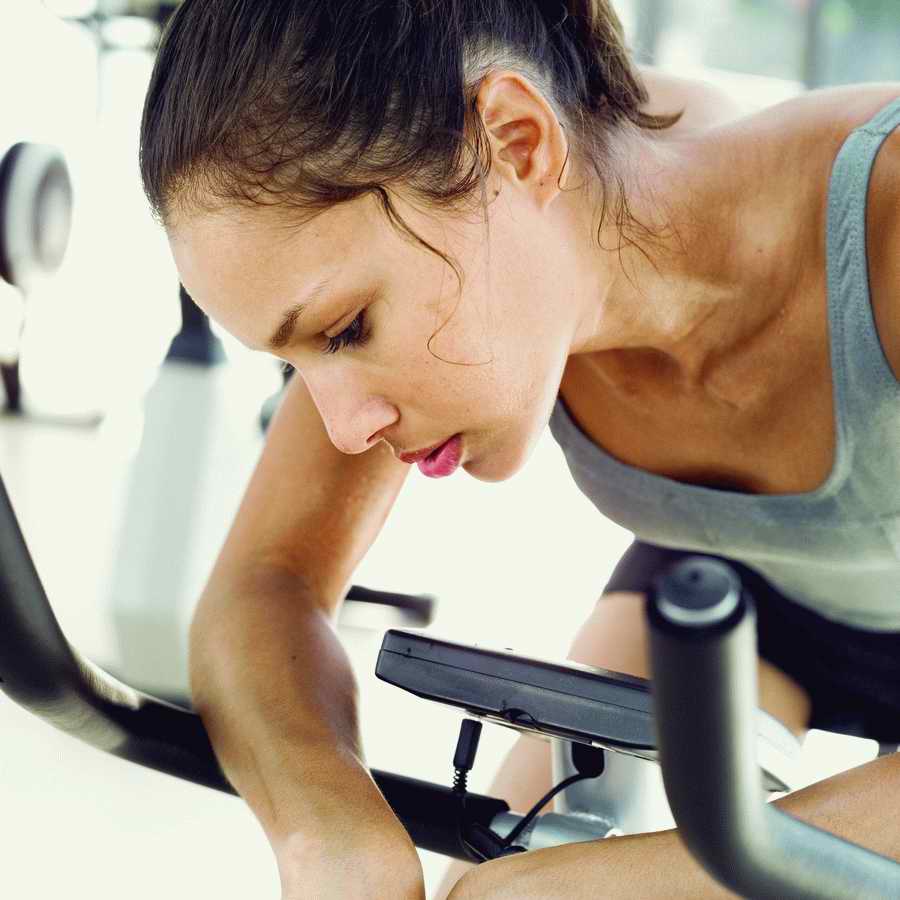 In The Gym - Stockbyte  ></a>
<script language=JavaScript> 
  var txt = 