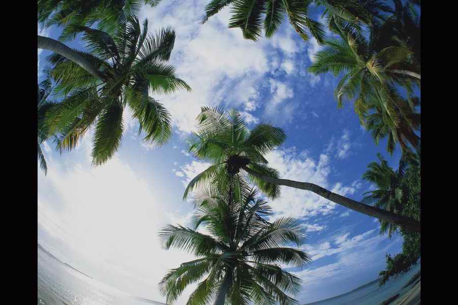 Sea and Sky - Shibvisi ></a>
<script language=JavaScript> 
  var txt = 