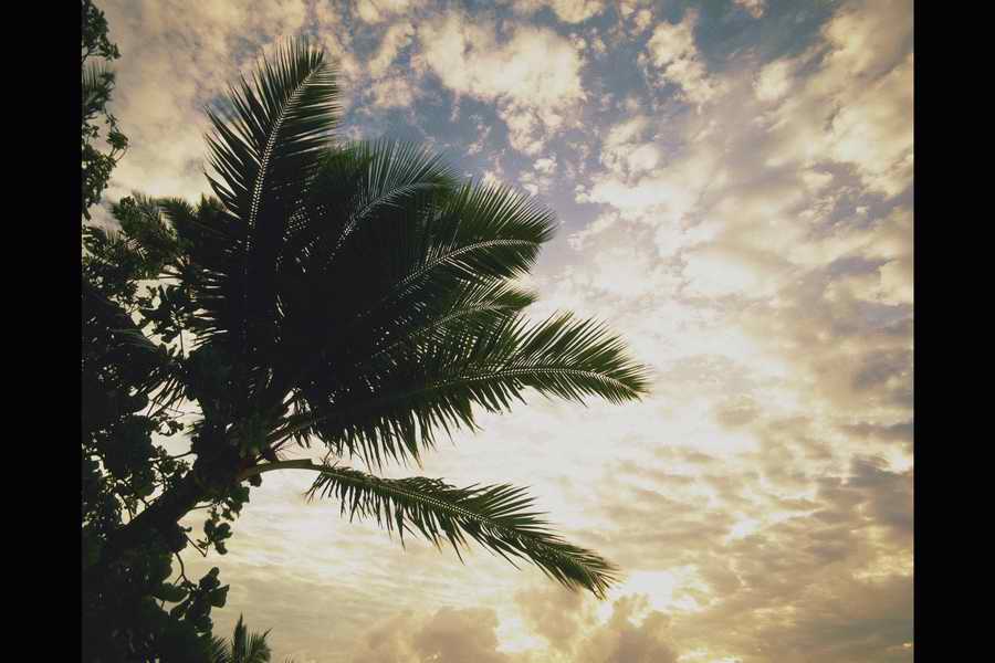 Sea and Sky - Shibvisi ></a>
<script language=JavaScript> 
  var txt = 