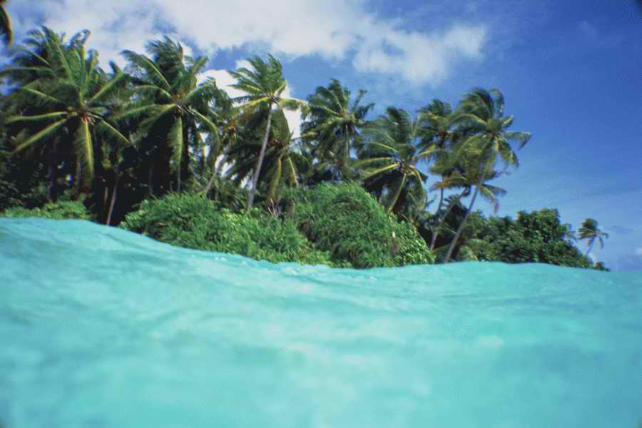 Sea and Sky - Shibvisi ></a>
<script language=JavaScript> 
  var txt = 