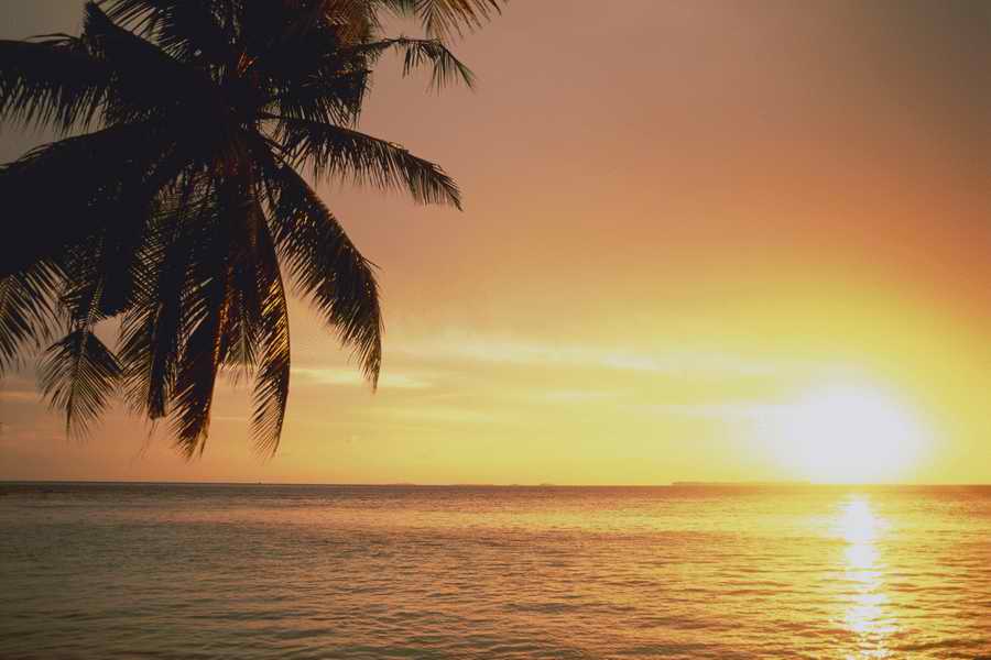 Sea and Sky - Shibvisi ></a>
<script language=JavaScript> 
  var txt = 