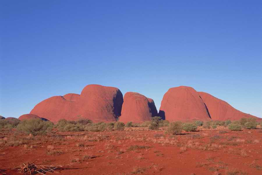 The Earths Natured Treasure - Shibvisi ></a>
<script language=JavaScript> 
  var txt = 