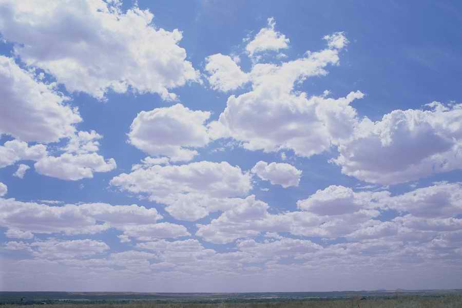 The Earths Natured Treasure - Shibvisi ></a>
<script language=JavaScript> 
  var txt = 