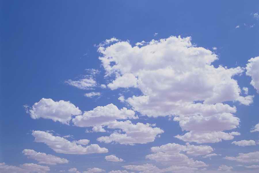 The Earths Natured Treasure - Shibvisi ></a>
<script language=JavaScript> 
  var txt = 