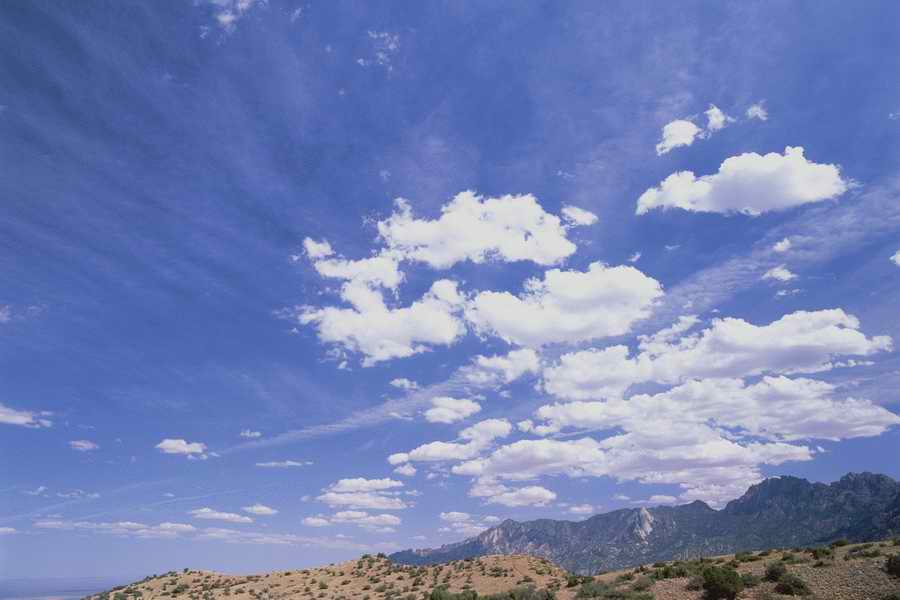 The Earths Natured Treasure - Shibvisi ></a>
<script language=JavaScript> 
  var txt = 
