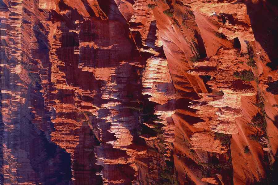 The Earths Natured Treasure - Shibvisi ></a>
<script language=JavaScript> 
  var txt = 