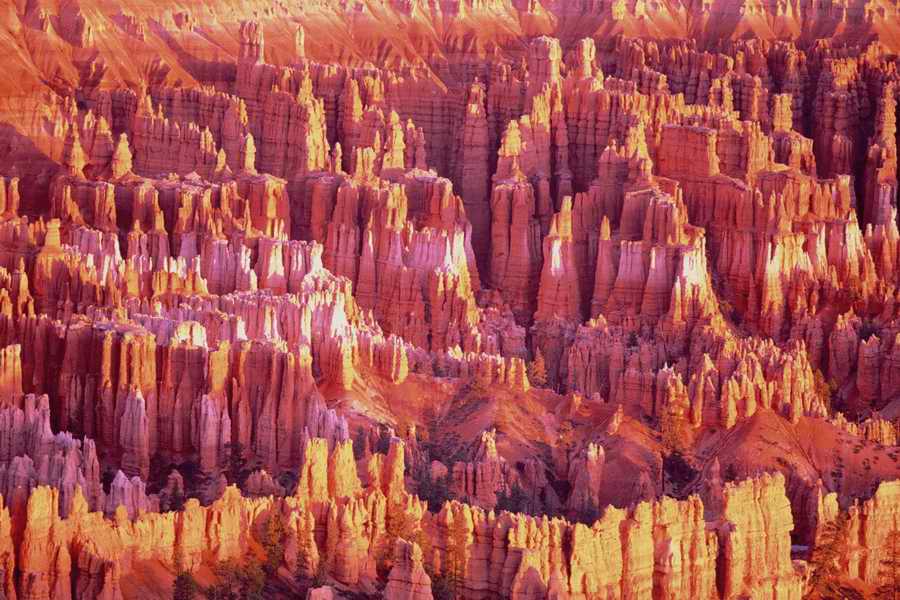 The Earths Natured Treasure - Shibvisi ></a>
<script language=JavaScript> 
  var txt = 