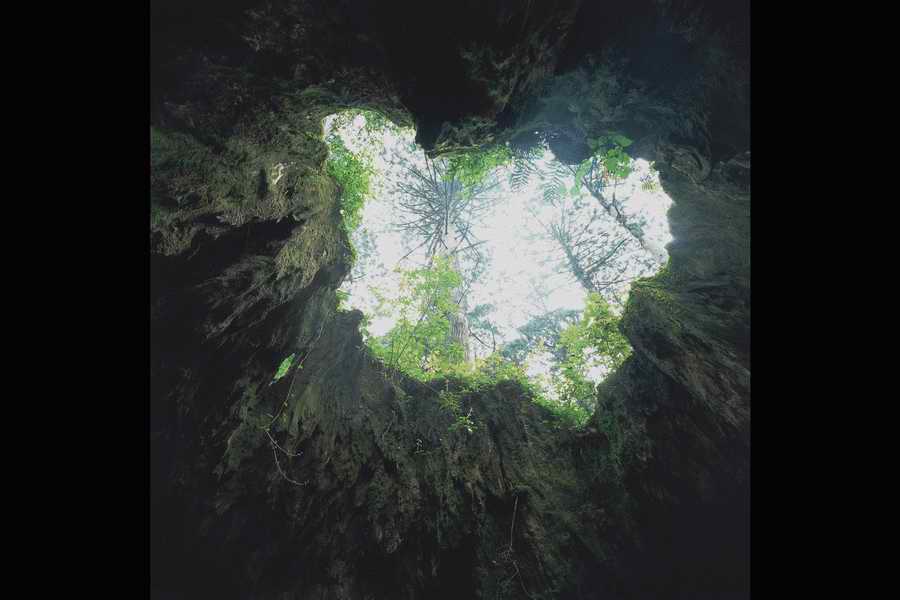 The Earths Natured Treasure - Shibvisi ></a>
<script language=JavaScript> 
  var txt = 