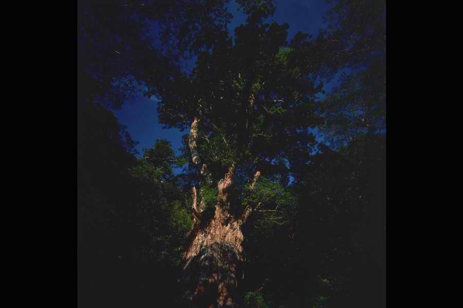 The Earths Natured Treasure - Shibvisi ></a>
<script language=JavaScript> 
  var txt = 