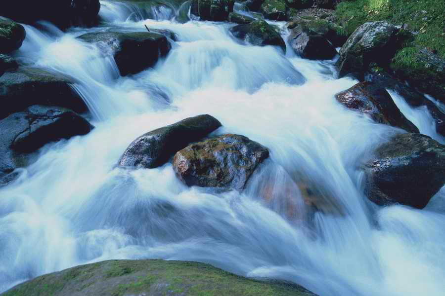 The Earths Natured Treasure - Shibvisi ></a>
<script language=JavaScript> 
  var txt = 