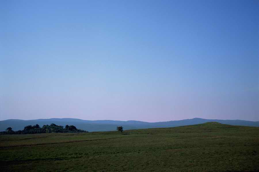 The Poety in the Pastorale - Shibvisi ></a>
<script language=JavaScript> 
  var txt = 