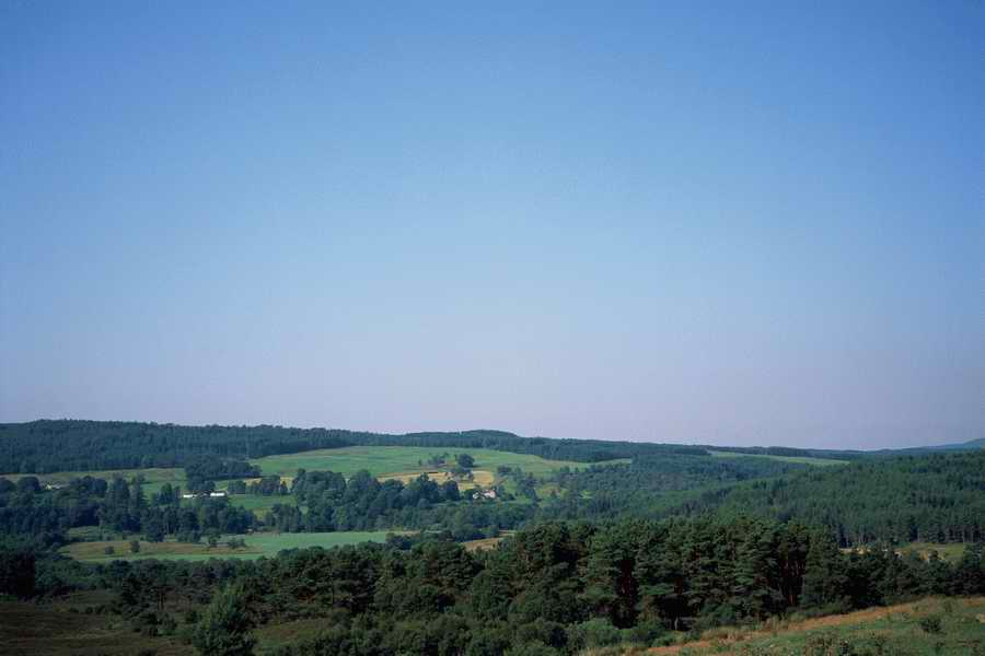 The Poety in the Pastorale - Shibvisi ></a>
<script language=JavaScript> 
  var txt = 