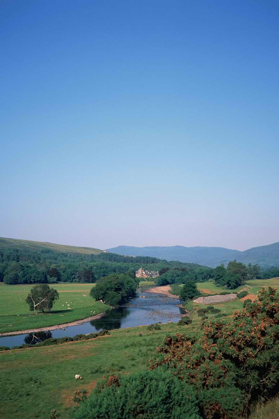 The Poety in the Pastorale - Shibvisi ></a>
<script language=JavaScript> 
  var txt = 