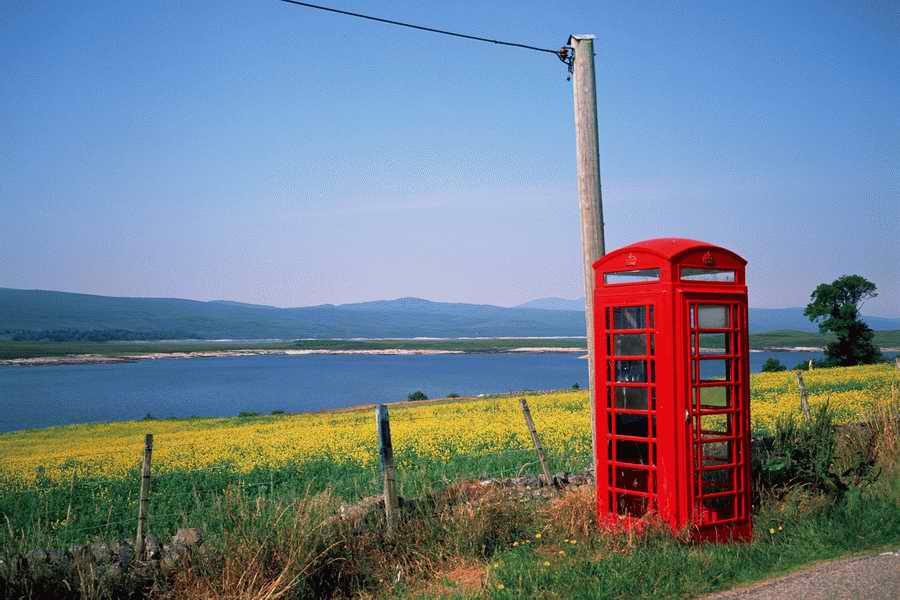 The Poety in the Pastorale - Shibvisi ></a>
<script language=JavaScript> 
  var txt = 