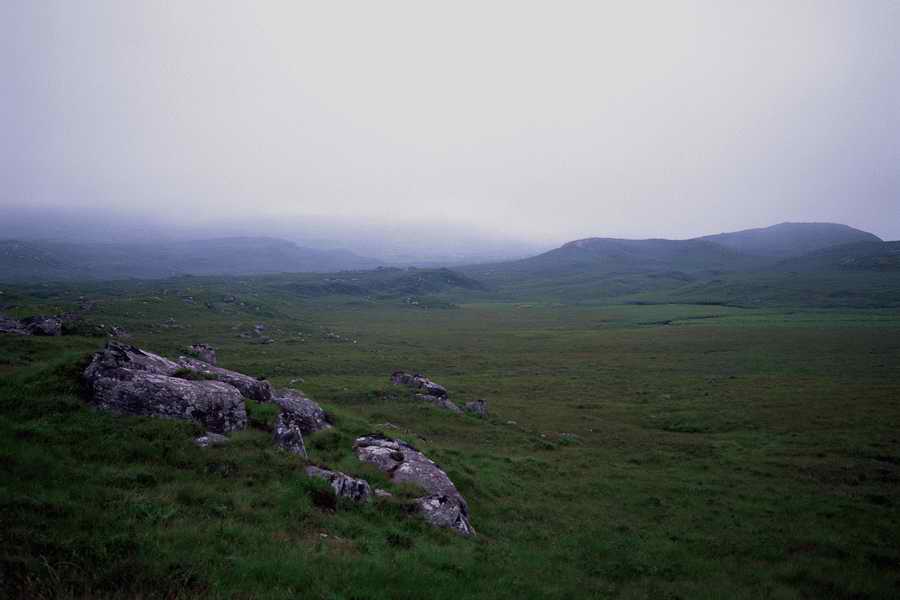 The Poety in the Pastorale - Shibvisi ></a>
<script language=JavaScript> 
  var txt = 