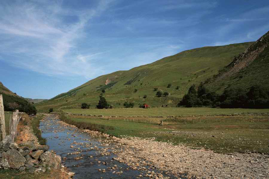 The Poety in the Pastorale - Shibvisi ></a>
<script language=JavaScript> 
  var txt = 