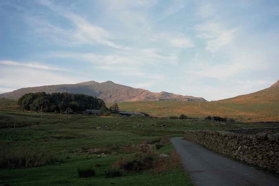 The Poety in the Pastorale - Shibvisi ></a>
<script language=JavaScript> 
  var txt = 