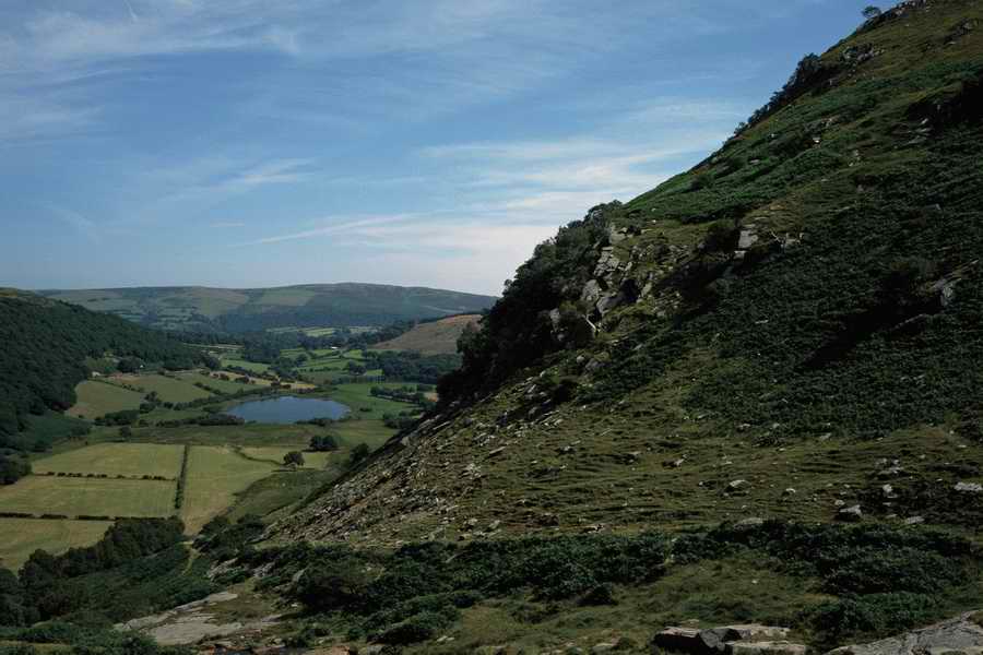 The Poety in the Pastorale - Shibvisi ></a>
<script language=JavaScript> 
  var txt = 