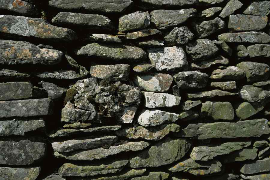 The Poety in the Pastorale - Shibvisi ></a>
<script language=JavaScript> 
  var txt = 